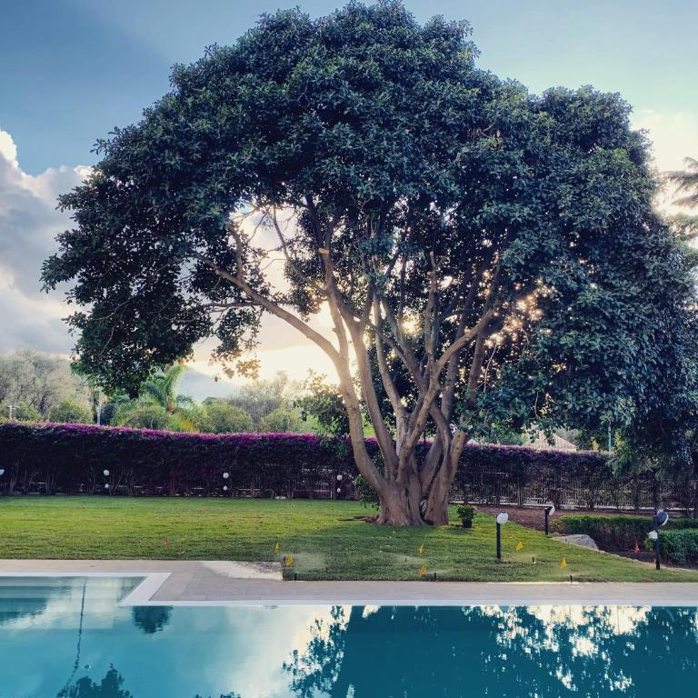 Il Giardino di Venere - Villa con Piscina Privata - 1