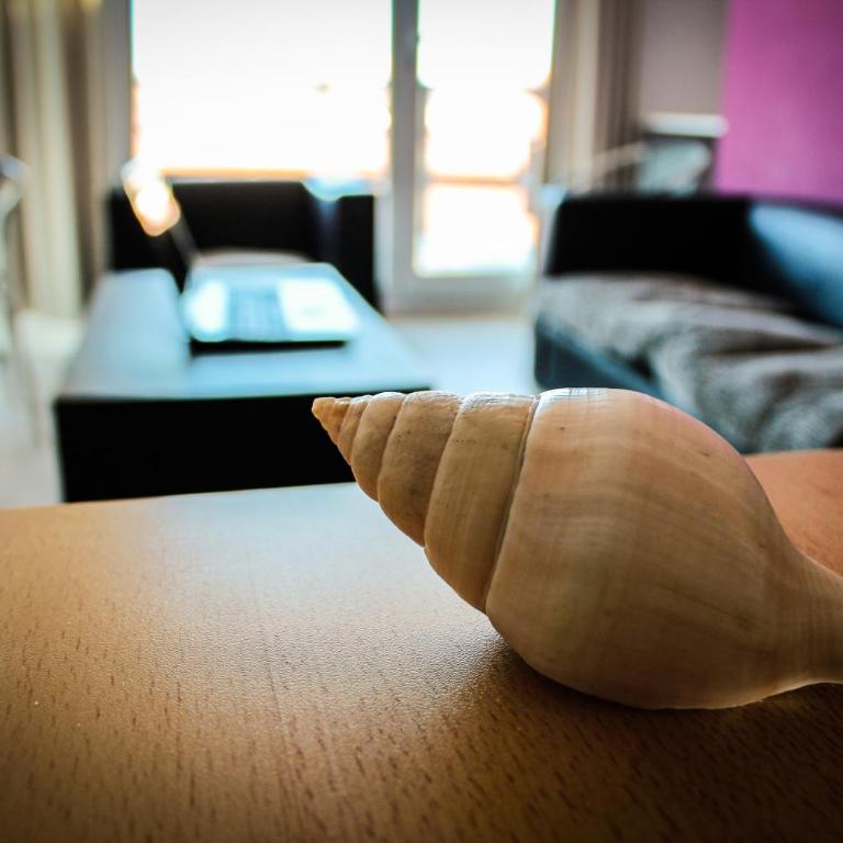 Kosten al Mar - Apartamento (4 adultos) - 20