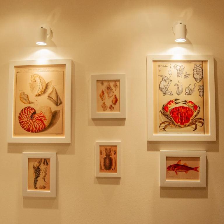 Little Nautilus - Apartman - 26