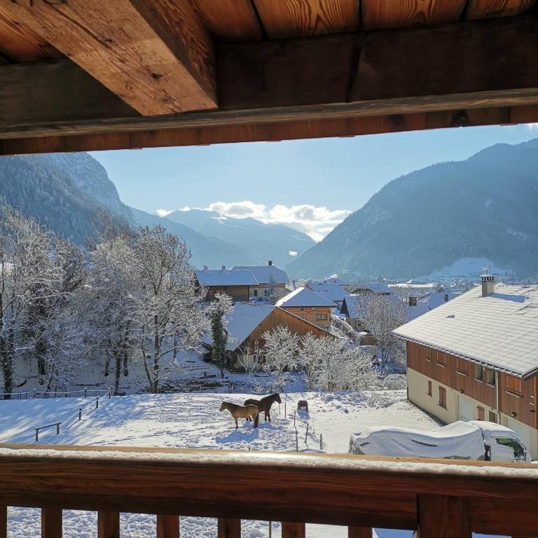 Mazot de Joe avec son hammam entre la Clusaz et Annecy - Chalet 1 Chambre - 14