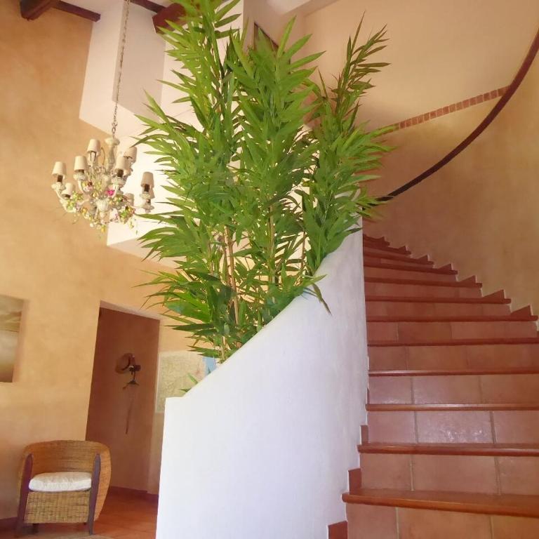 Mas Picton - Cottage (12 Adultes) - 12