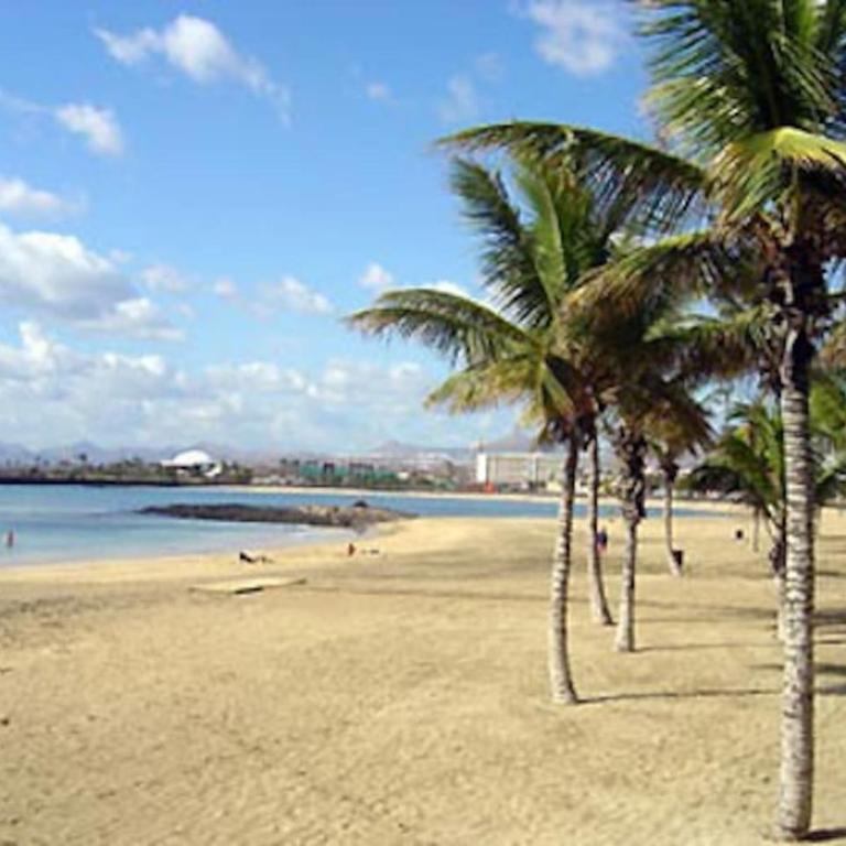 City Centre Arrecife - Apartamento de 3 dormitorios - 19