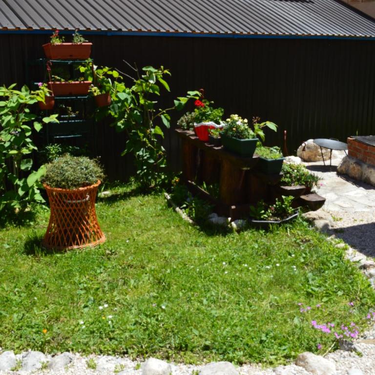 Apartmani Božana Vojinović - Studio - 9