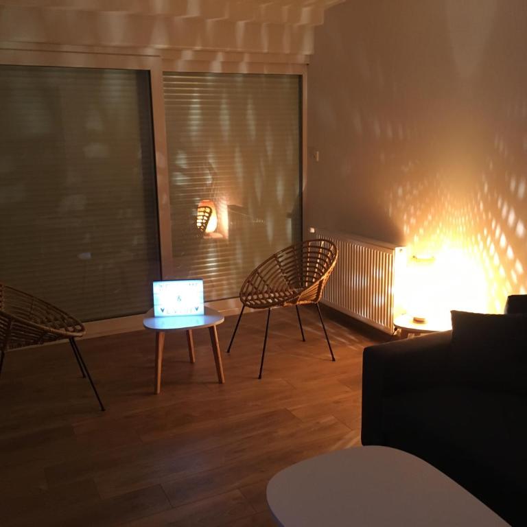 T3 Nausicaa Parking gratuit - Appartement 2 Chambres - 19
