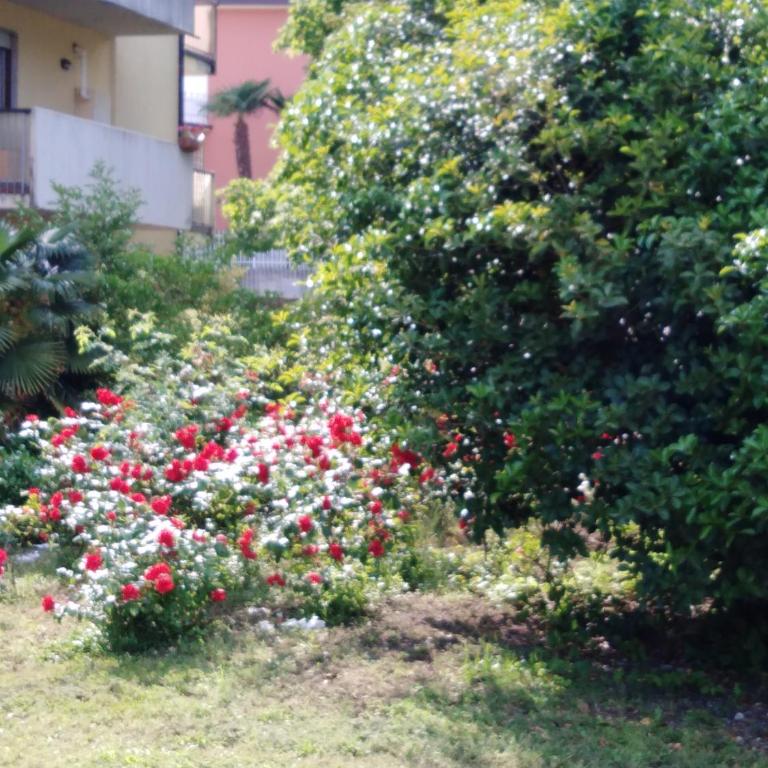 Casa Akira - Appartamento - 17
