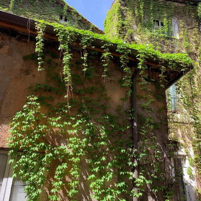 Navona Relais - Center of Rome - Appartamento con 2 Camere da Letto - 31