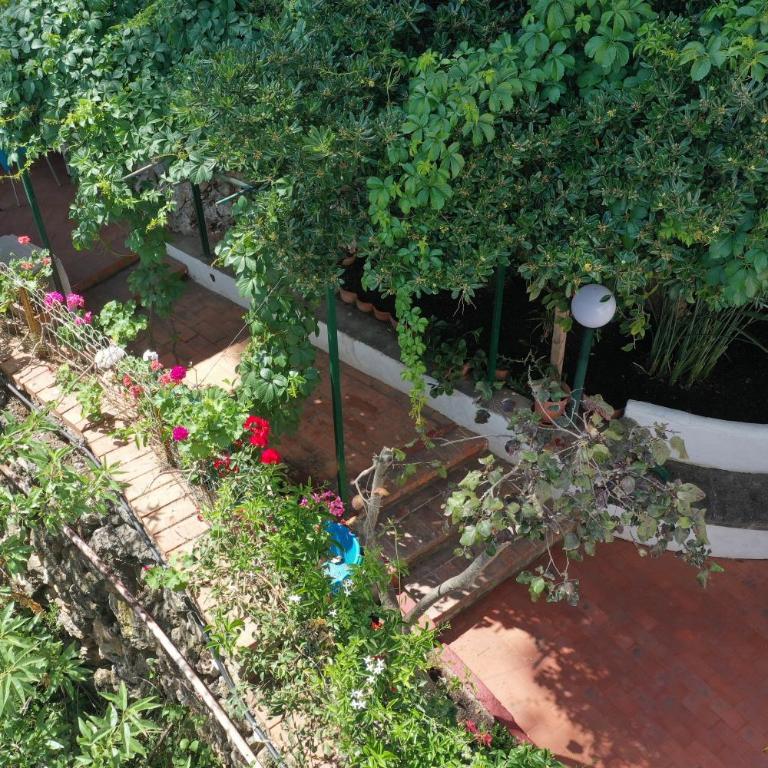 Casa Elvira - Haus mit 2 Schlafzimmern - 25