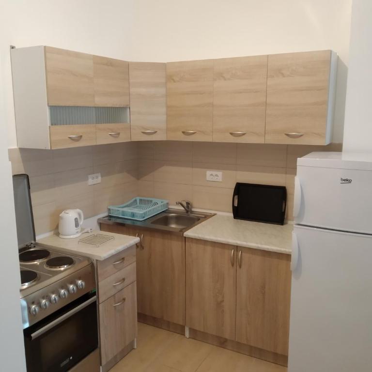 Lux apartment Bečići - One-Bedroom Apartment - 10
