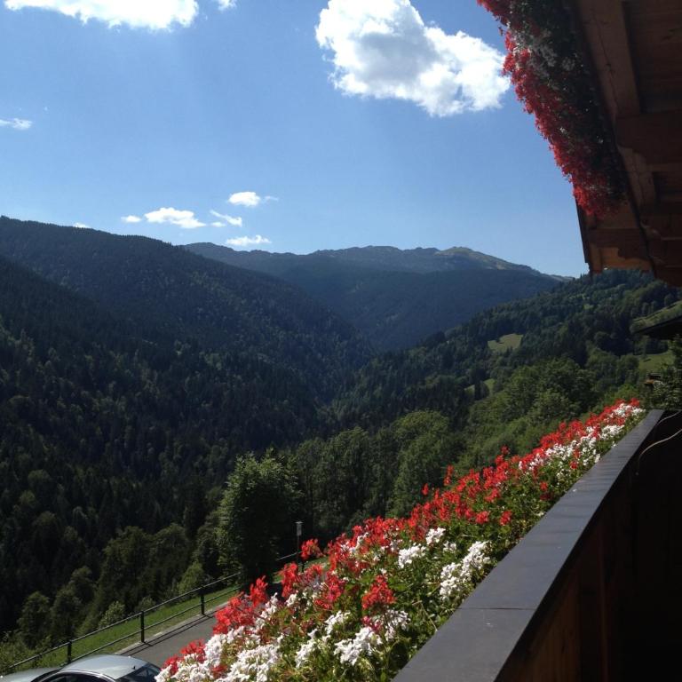 Berggasthof Hintergföll - Chambre Double avec Balcon - 15