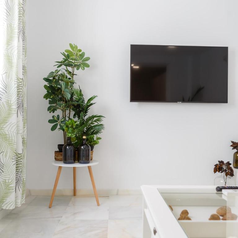 Apartamento La Pepa de ORO by Cadiz4Rentals - Apartamento de 2 dormitorios - 35