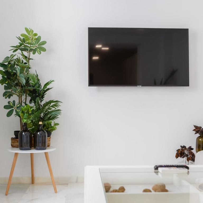 Apartamento La Pepa de ORO by Cadiz4Rentals - Apartamento de 2 dormitorios - 14