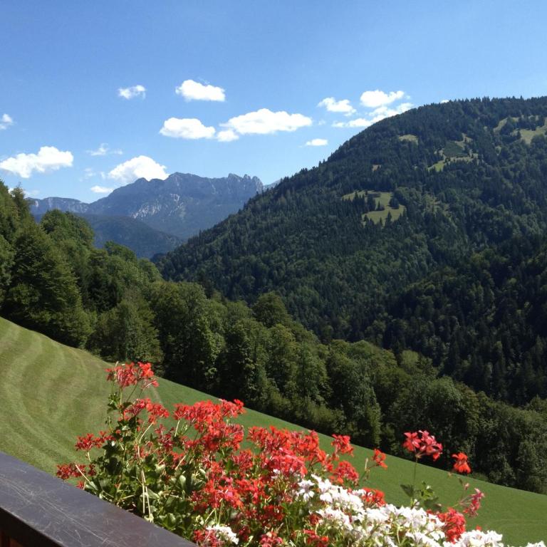Berggasthof Hintergföll - Chambre Double avec Balcon - 14