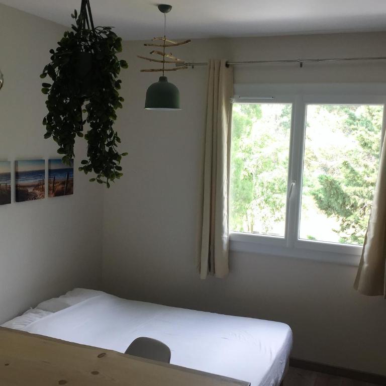 MON FARE - Studio avec Vue sur Jardin - 3
