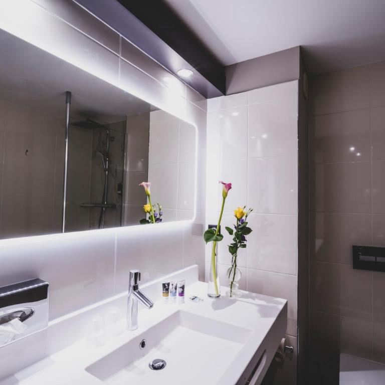 Mercure Pau Palais des Sports - Chambre Double Standard - 10