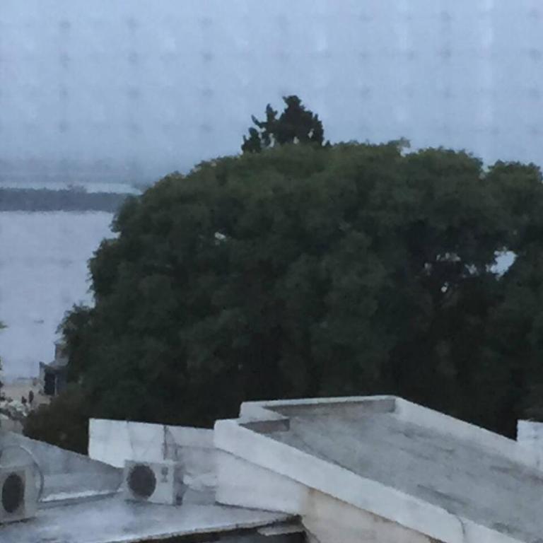 Brisa del Rio - One-Bedroom Apartment - 28