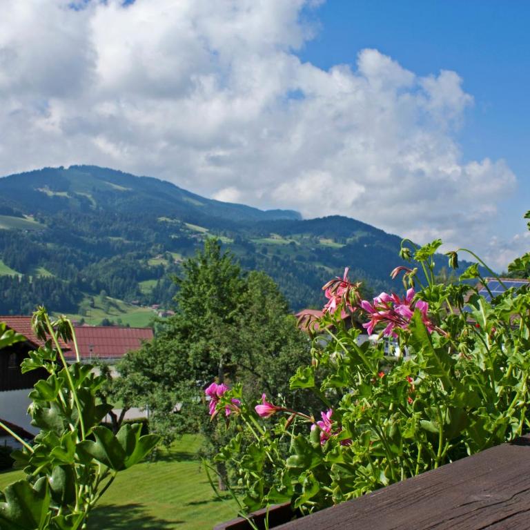 Hotel Bayerischer Hof - Deluxe Doppelzimmer mit Balkon - 2