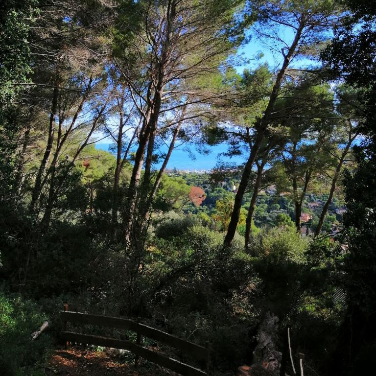 Cabane azur mountain - Chambre Double - Vue sur Mer - 5