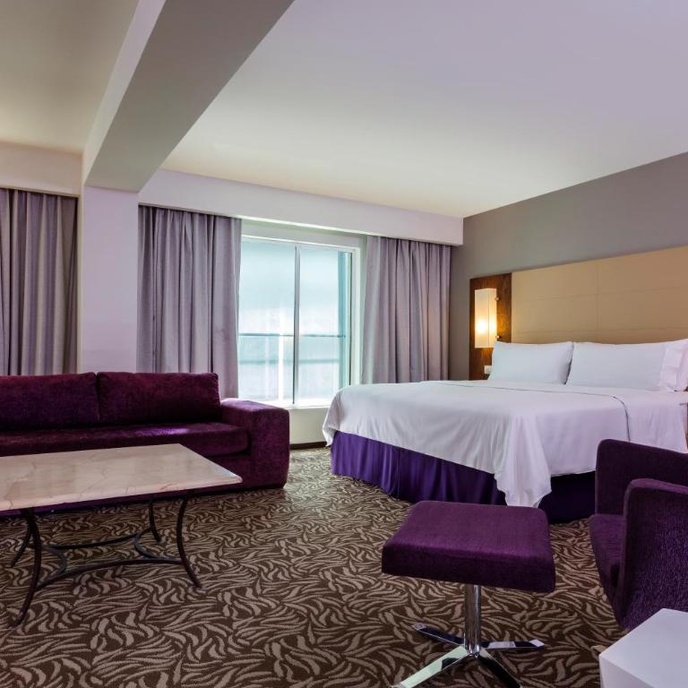 Krystal Urban Monterrey San Jeronimo - Junior Suite - 3