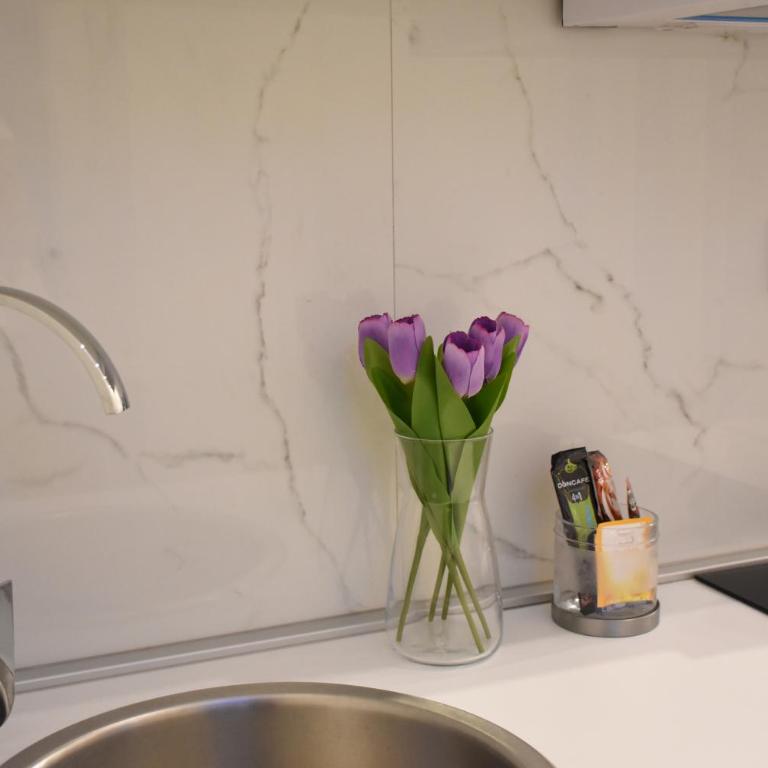 Royal park - Apartman sa Terasom - 24