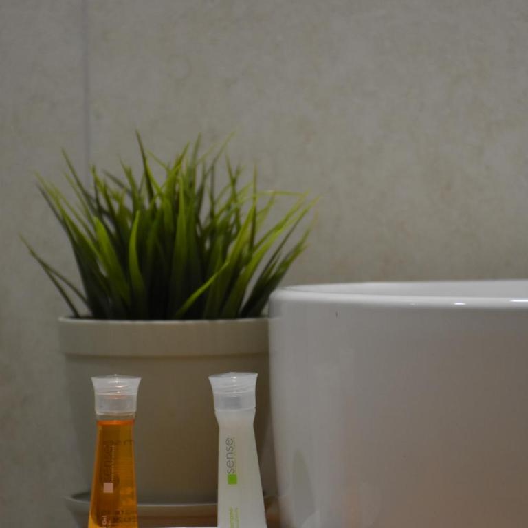 Royal park - Apartman sa Terasom - 20