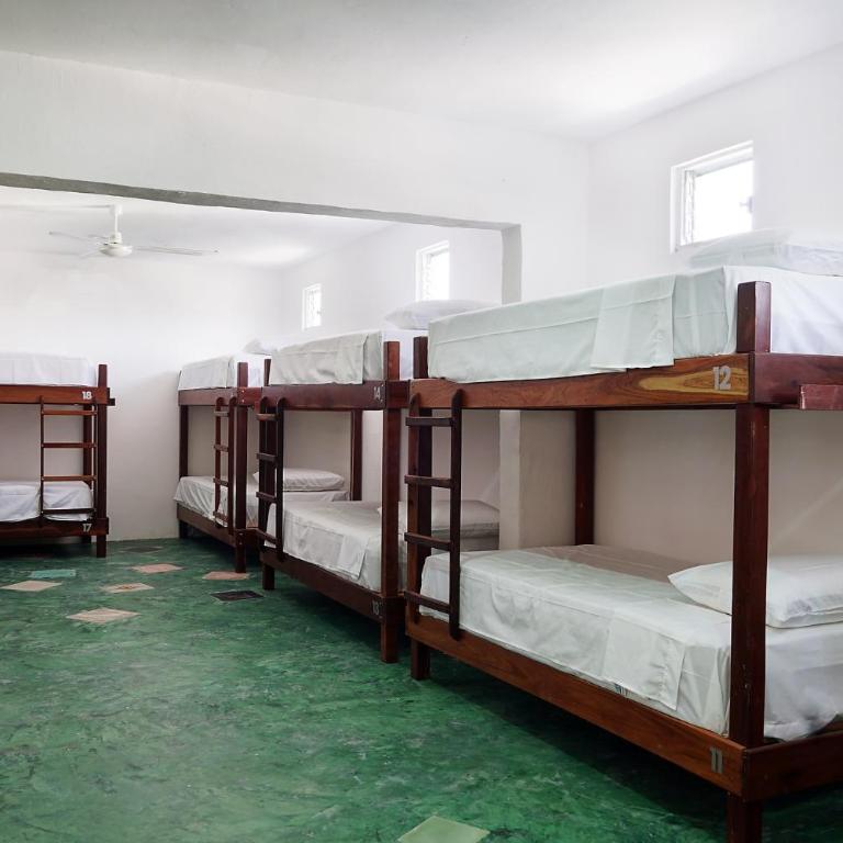Red Panda Hostal - Single Bed in Mixed Dormitory Room - 5