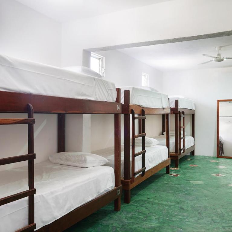 Red Panda Hostal - Single Bed in Mixed Dormitory Room - 3