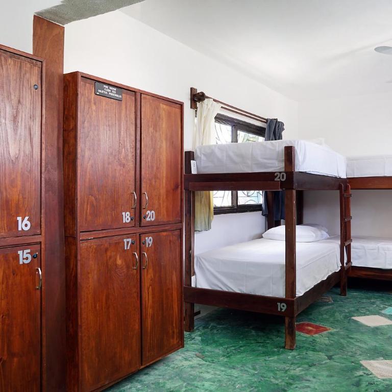 Red Panda Hostal - Single Bed in Mixed Dormitory Room - 4