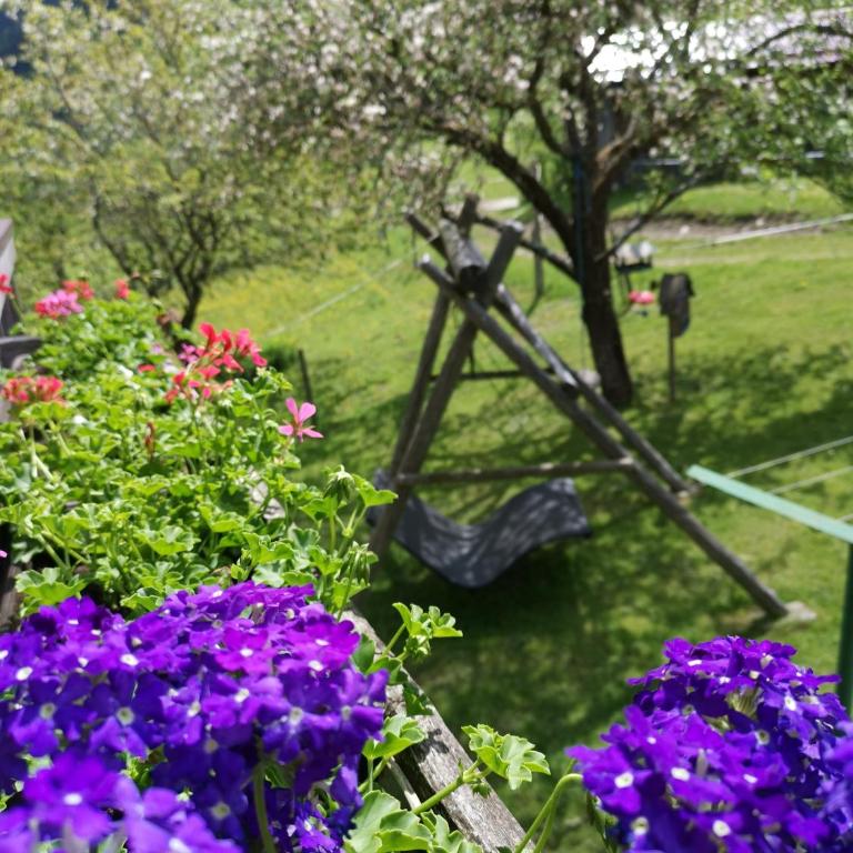 Bad Kleinkirchheim Bio Naturhof Ottingerhof - Apartment mit Balkon (2 Erwachsene) - 5