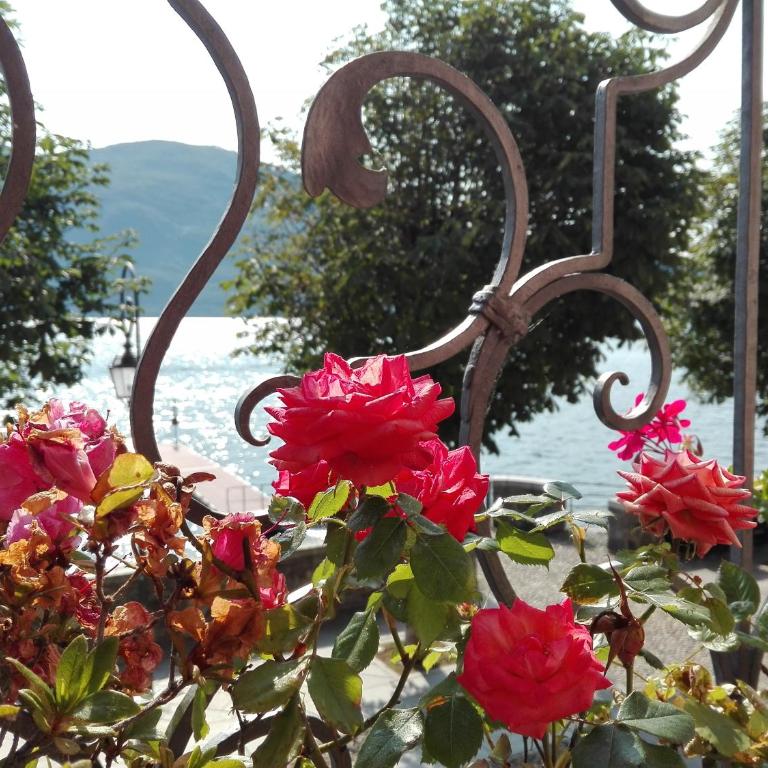 Residenza Il Gabbiano 1 - Apartment mit Seeblick - 49
