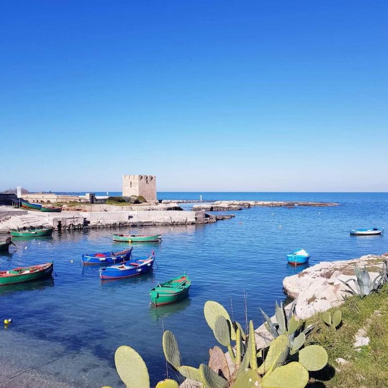 Dimora Simone by Polignano Experience - Casa con 1 Camera da Letto - 26
