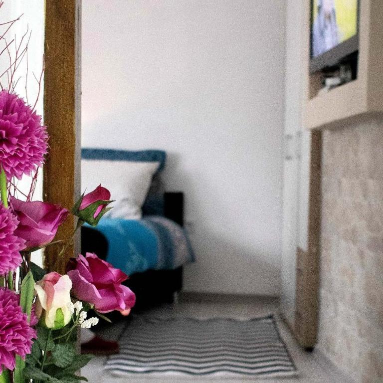 ŠEHER Kuća - Apartman sa 2 Spavaće Sobe - 12
