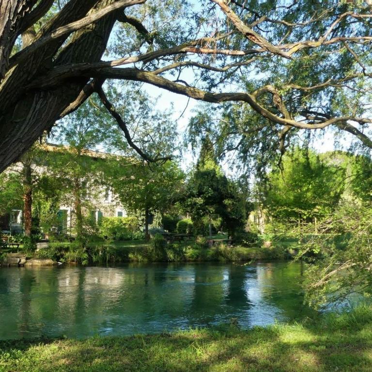 Mas Le Pont des Aubes - Apartment with Garden View - 1