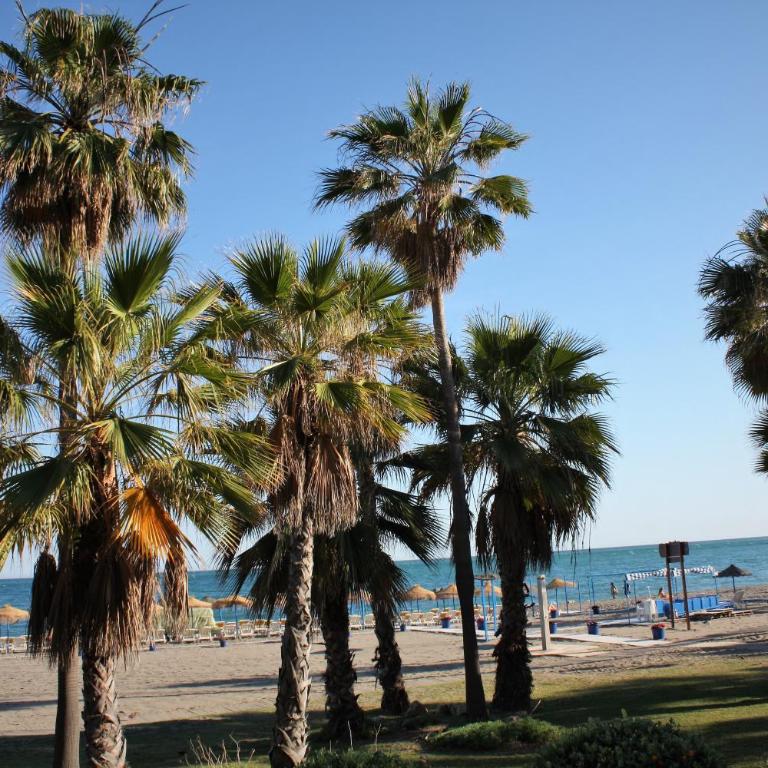 Benalbeach - Apartamento Estudio - 28