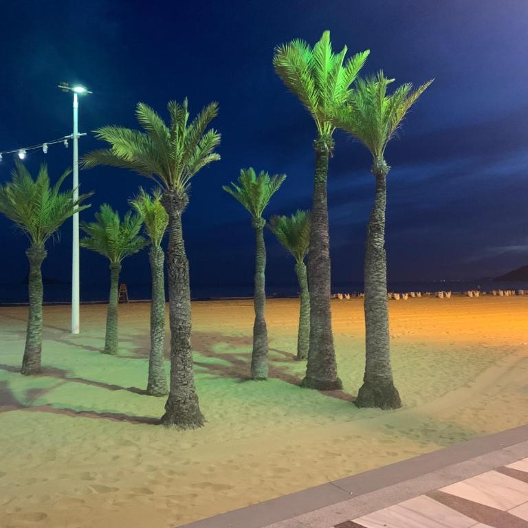 Pink Beach Benidorm - Apartamento de 2 dormitorios - 21