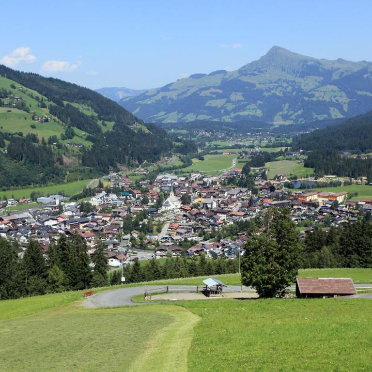 Gasthaus Obergaisberg - Doppelzimmer mit Bergblick - 1