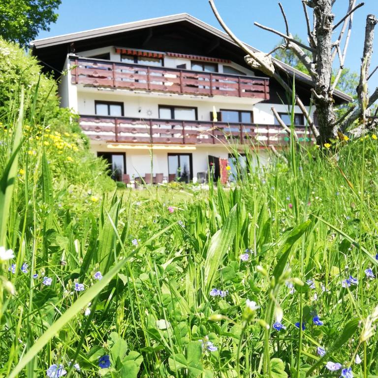 Ferienwohnung Tschengla mit eigener Sonnenterrasse - Wiese - Wlan - Appartamento - 1