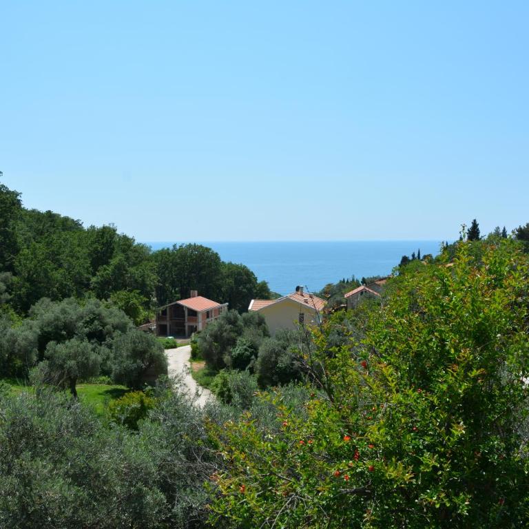 Apartments Djedovic 2 - One-Bedroom Suite with Sea View - 1