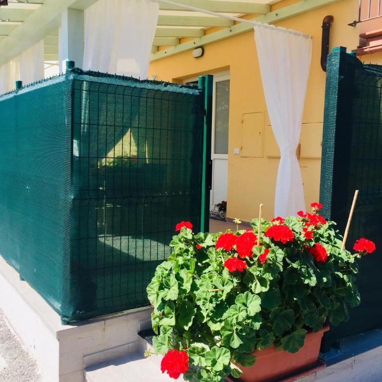 CASA ALBA - Appartamento con 1 Camera da Letto - 9