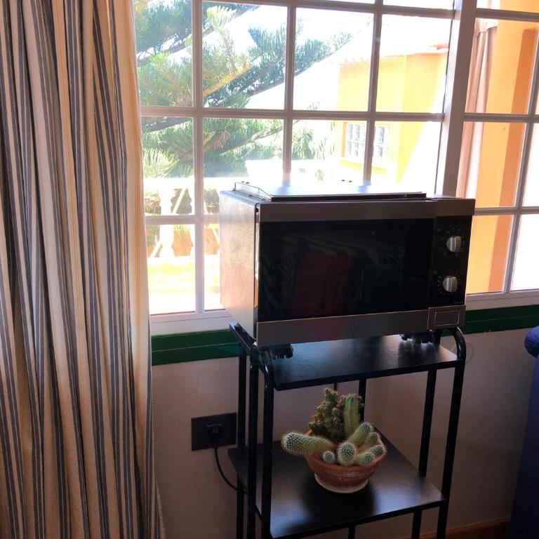 APARTAMENTO EN LA LAGUNA - Apartamento Estudio - 9