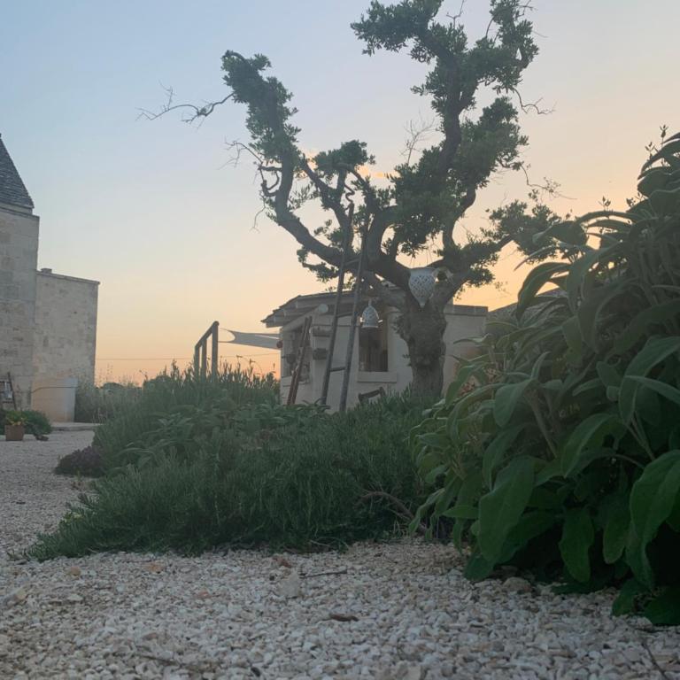 Villa Donatella - Villa con 1 Camera da Letto - 26