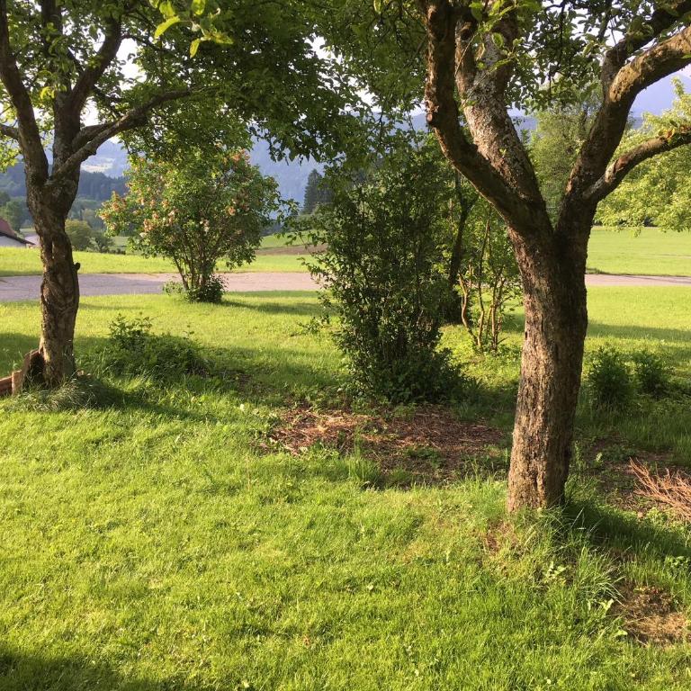 Haus Kleiner Seeblick - Apartment mit Seeblick - 41