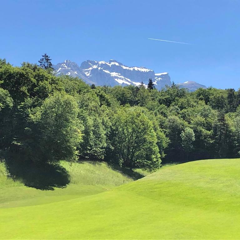Les Terrasses de Tresserve - Appartement - Vue sur Lac - 31