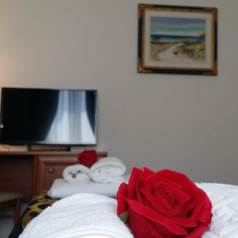Carpe Diem Ancona - Camera Matrimoniale/Doppia con Letti Singoli con Bagno in Comune - 1