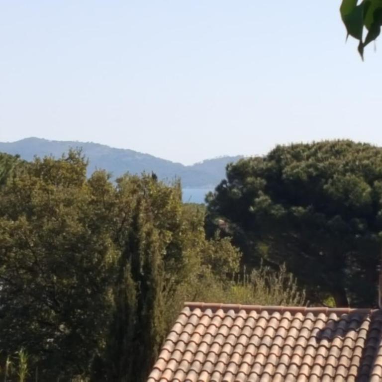 Villa LES FIGUIERS - Villa - 17