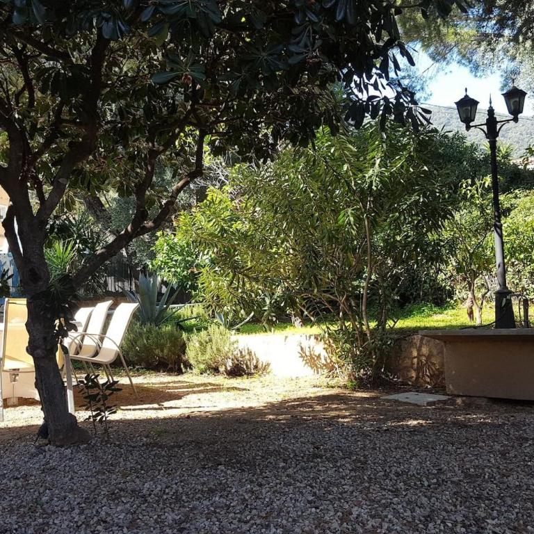 Villa LES FIGUIERS - Villa - 27