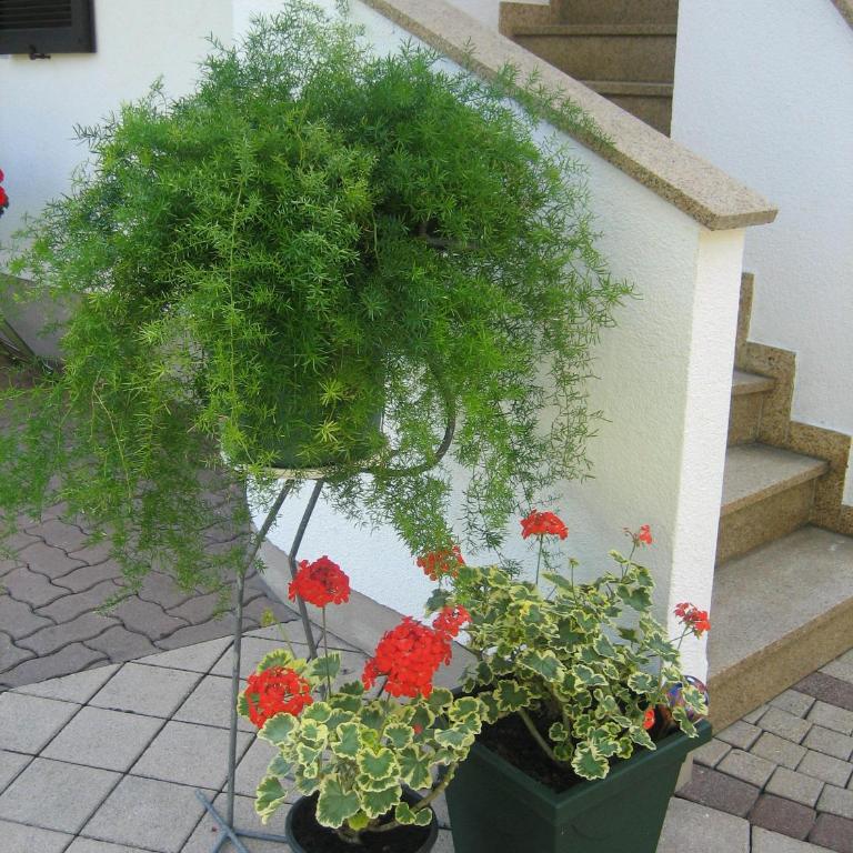 Appartement Weissbacher - Big Two-Bedroom Apartment with Balcony and Mountain View - 9