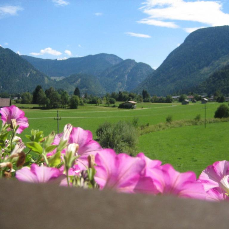 Appartement Weissbacher - Big Two-Bedroom Apartment with Balcony and Mountain View - 31