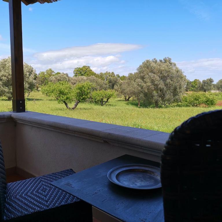 Trullo Madia e Dimora Giorgio - Casa Vacanze - 6