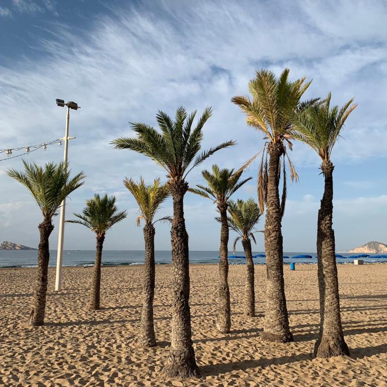 Pink Beach Benidorm - Apartamento de 2 dormitorios - 14