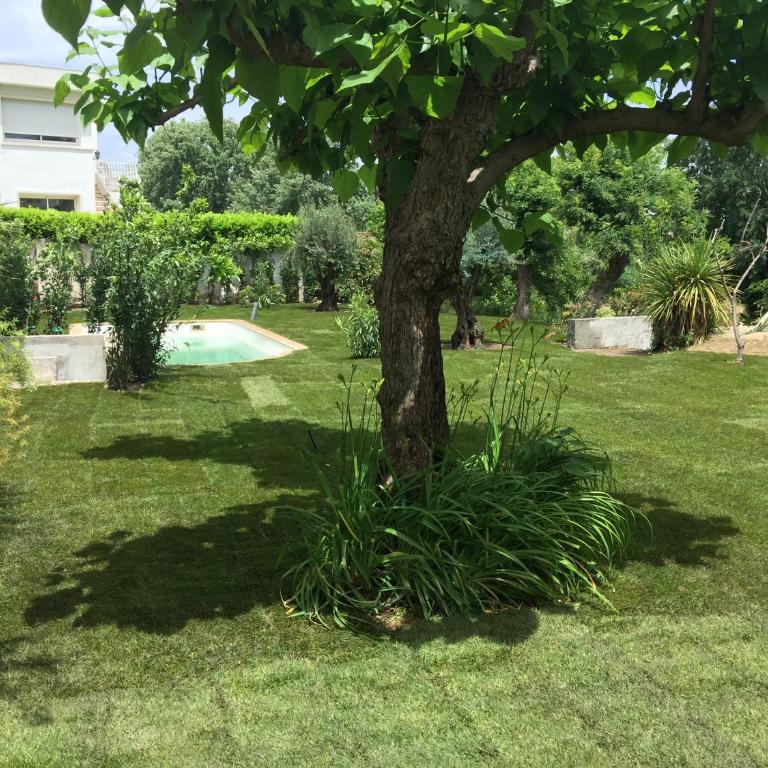 Villa Louise-Rose - Apartment - Ground Floor - 21